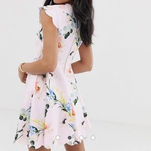 ted baker karsali elegance scallop skater dress